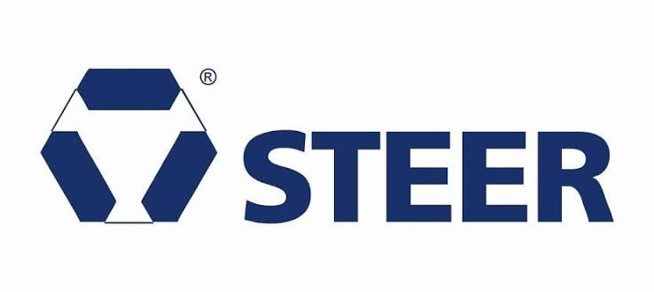 steer